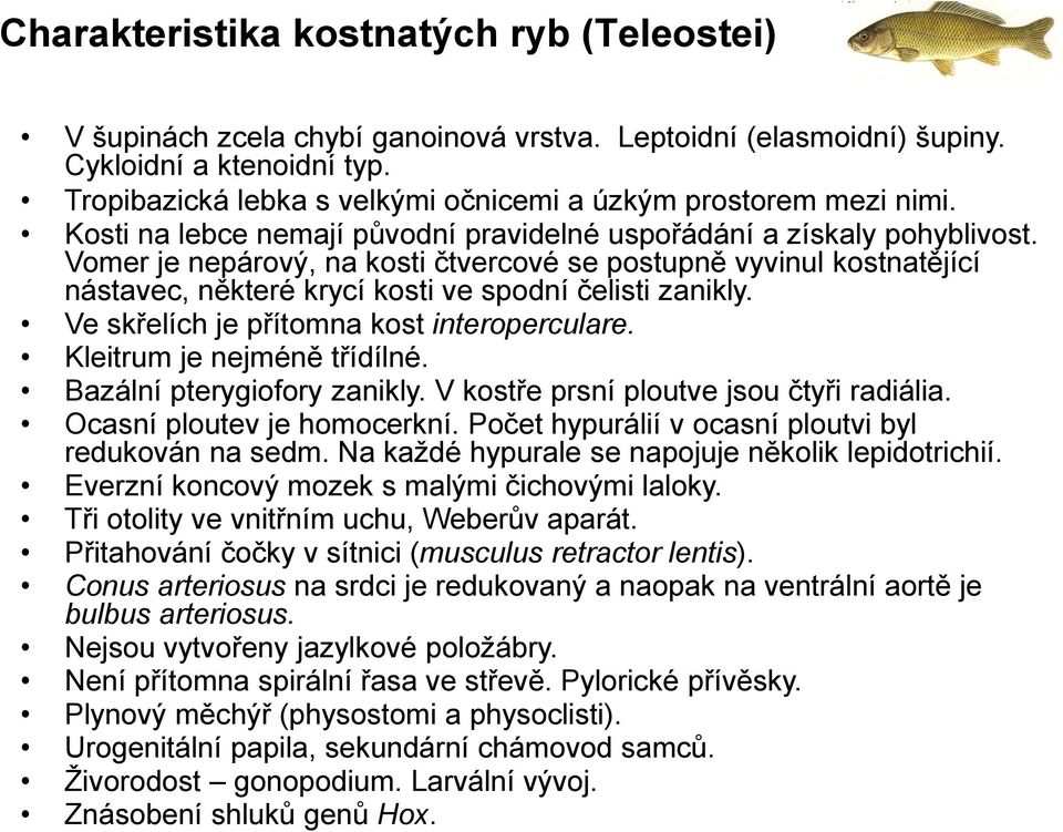 Vomer je nepárový, na kosti čtvercové se postupně vyvinul kostnatějící nástavec, některé krycí kosti ve spodní čelisti zanikly. Ve skřelích je přítomna kost interoperculare.