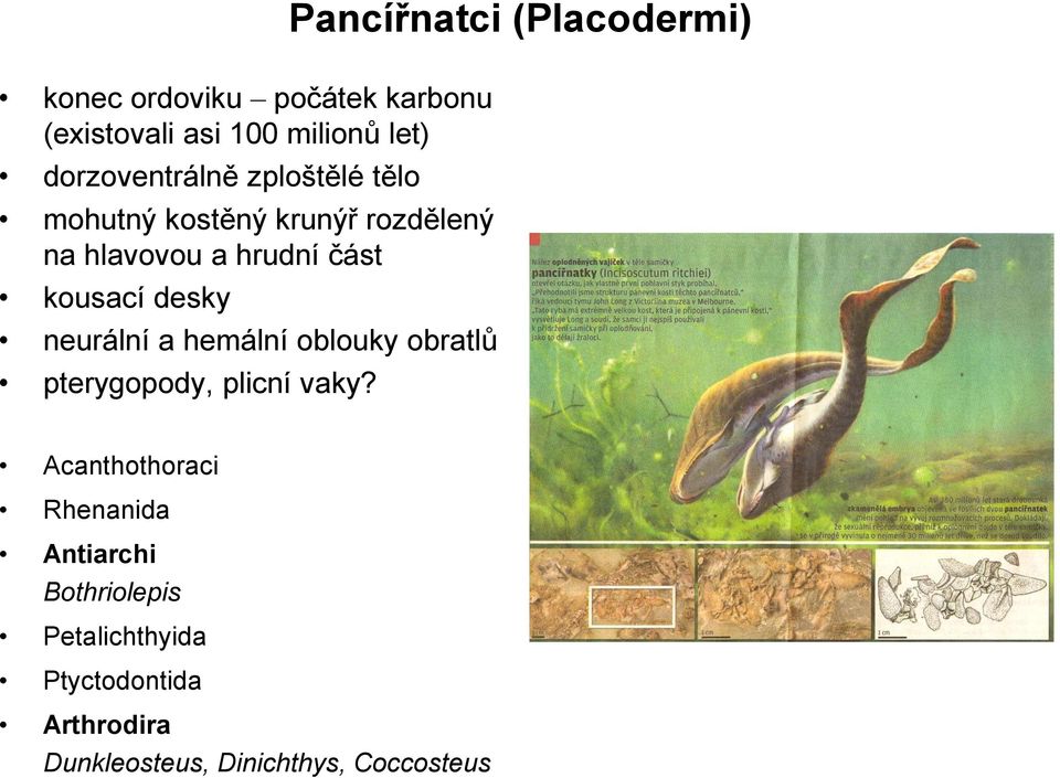 kousací desky neurální a hemální oblouky obratlů pterygopody, plicní vaky?