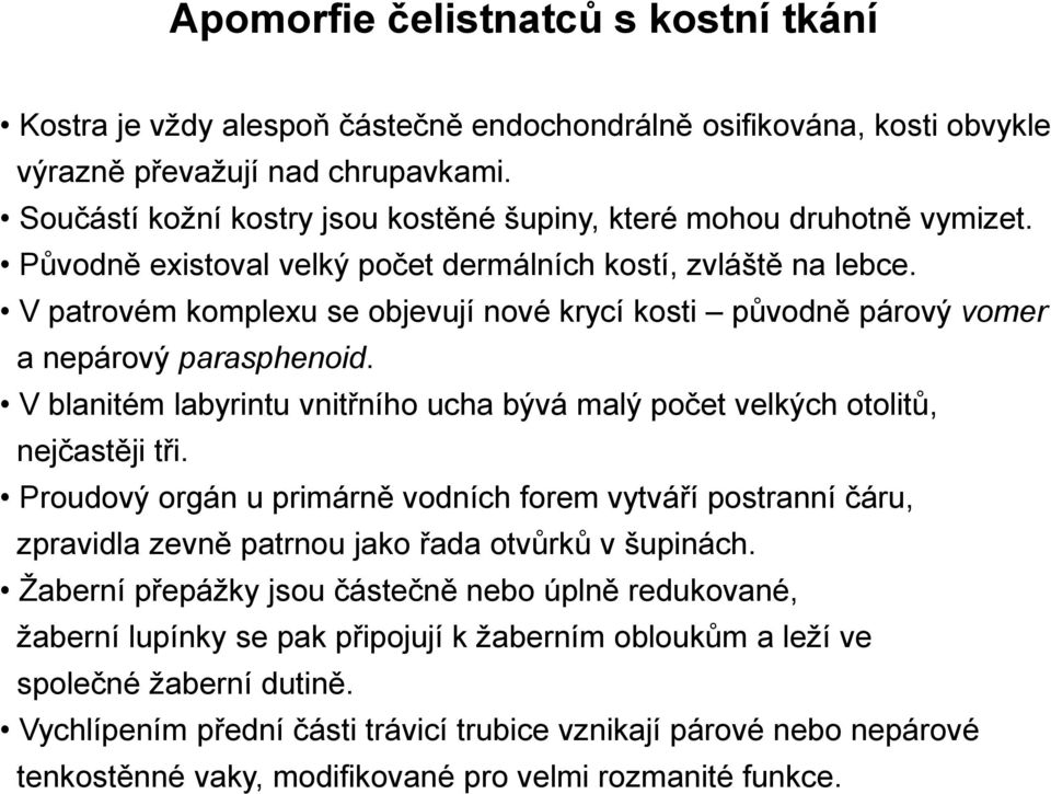 V patrovém komplexu se objevují nové krycí kosti původně párový vomer a nepárový parasphenoid. V blanitém labyrintu vnitřního ucha bývá malý počet velkých otolitů, nejčastěji tři.