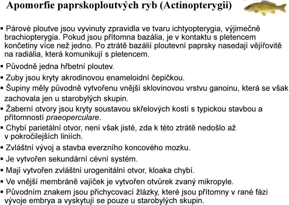 Původně jedna hřbetní ploutev. Zuby jsou kryty akrodinovou enameloidní čepičkou. Šupiny měly původně vytvořenu vnější sklovinovou vrstvu ganoinu, která se však zachovala jen u starobylých skupin.