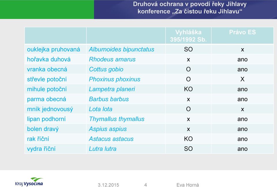 Cottus gobio O ano střevle potoční Phoxinus phoxinus O X mihule potoční Lampetra planeri KO ano parma