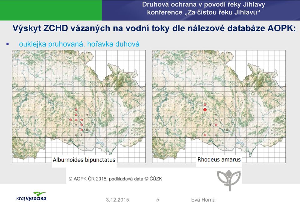 databáze AOPK: ouklejka