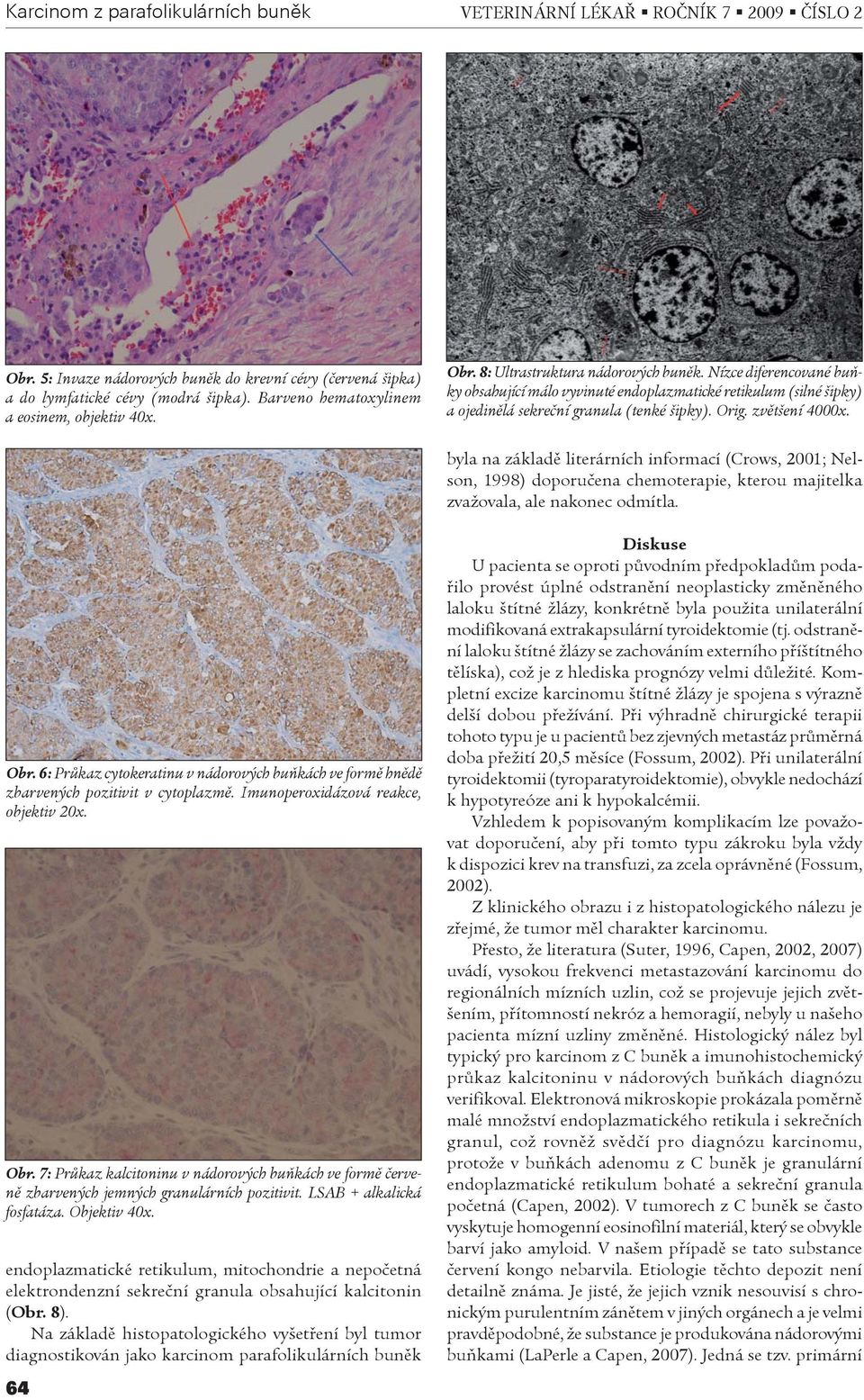 byla na základì literárních informací (Crows, 2001; Nelson, 1998) doporuèena chemoterapie, kterou majitelka zvažovala, ale nakonec odmítla. Obr.