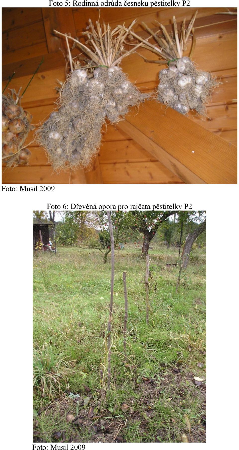 Foto 6: Dřevěná opora