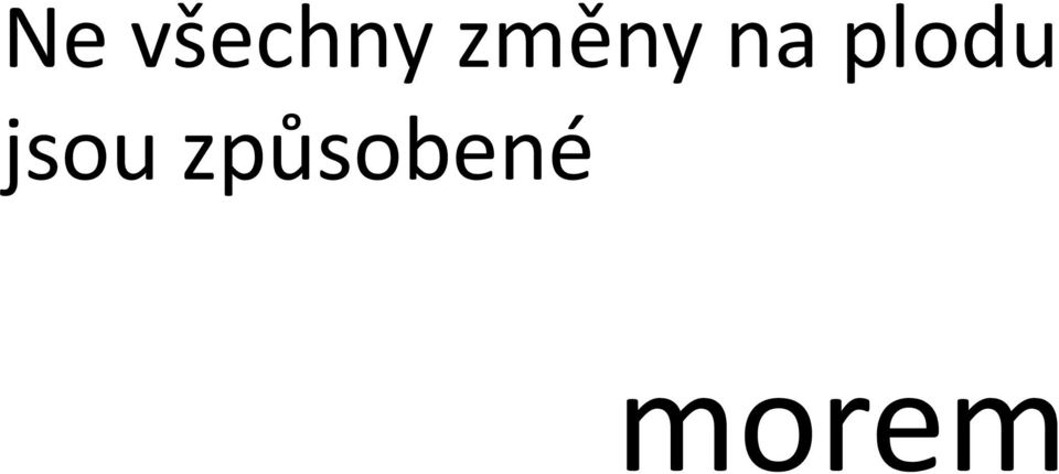 plodu jsou