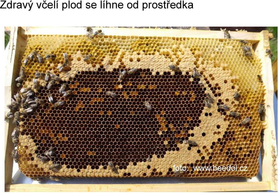 od prostředka