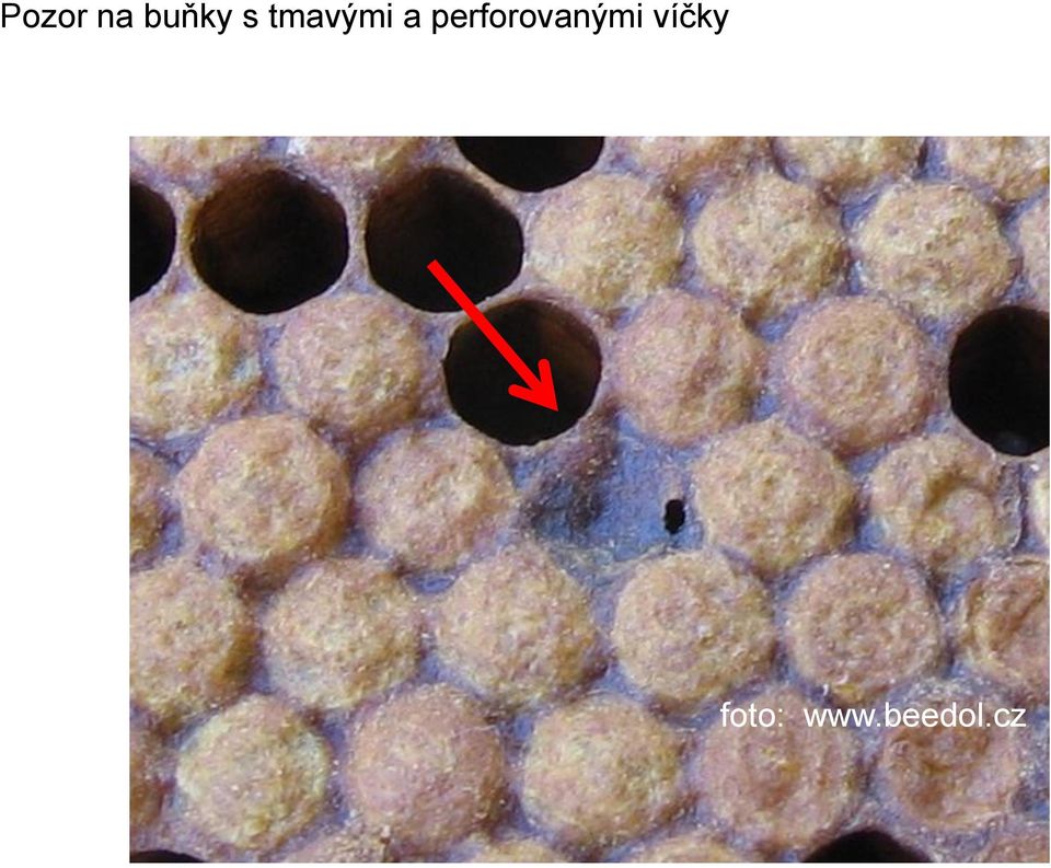 perforovanými