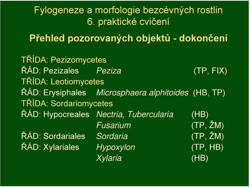 Peziza (TP, FIX) TŘÍDA: Leotiomycetes ŘÁD: Erysiphales Microsphaera alphitoides (HB, TP) TŘÍDA: