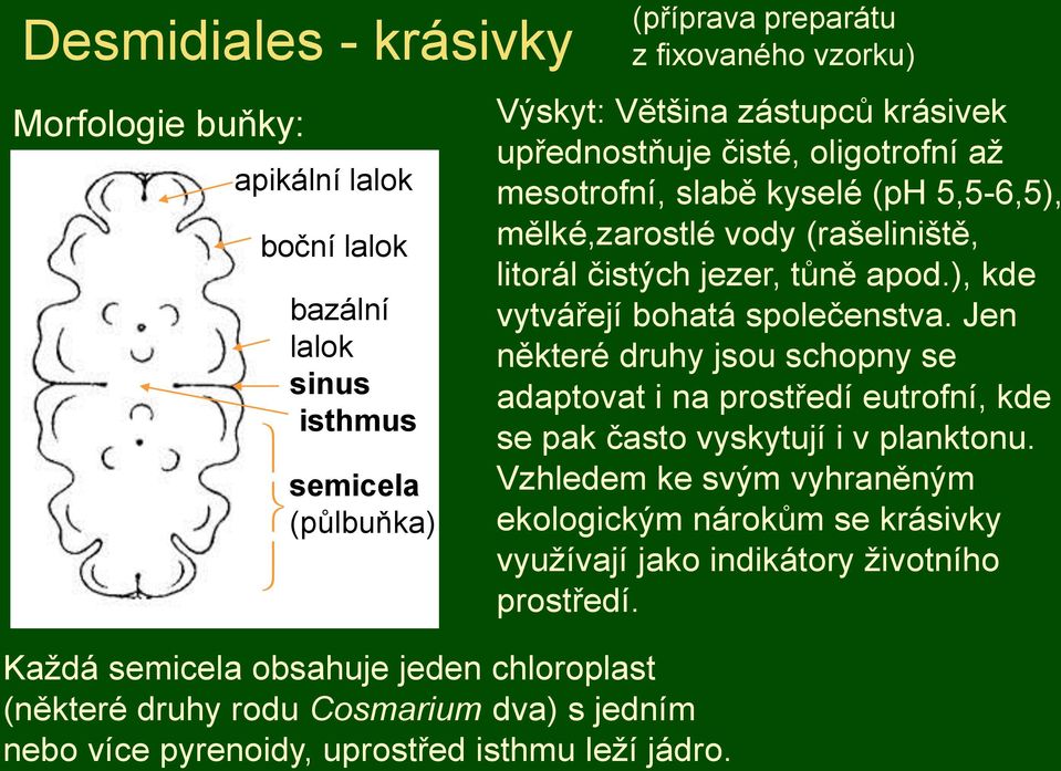 (příprava preparátu z fixovaného vzorku) Výskyt: Většina zástupců krásivek upřednostňuje čisté, oligotrofní až mesotrofní, slabě kyselé (ph 5,5-6,5), mělké,zarostlé vody