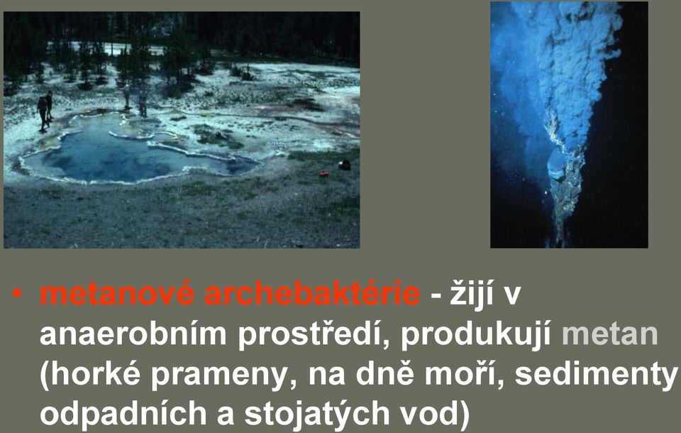 metan (horké prameny, na dně