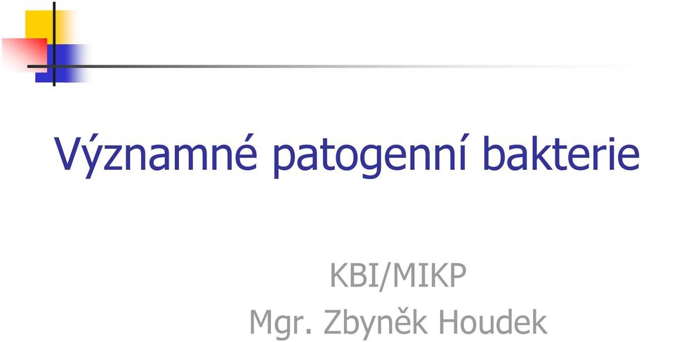 bakterie