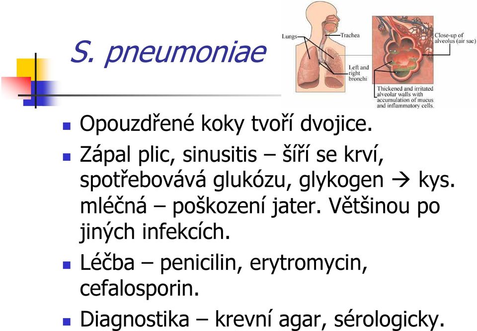 glykogen kys. mléčná poškození jater.