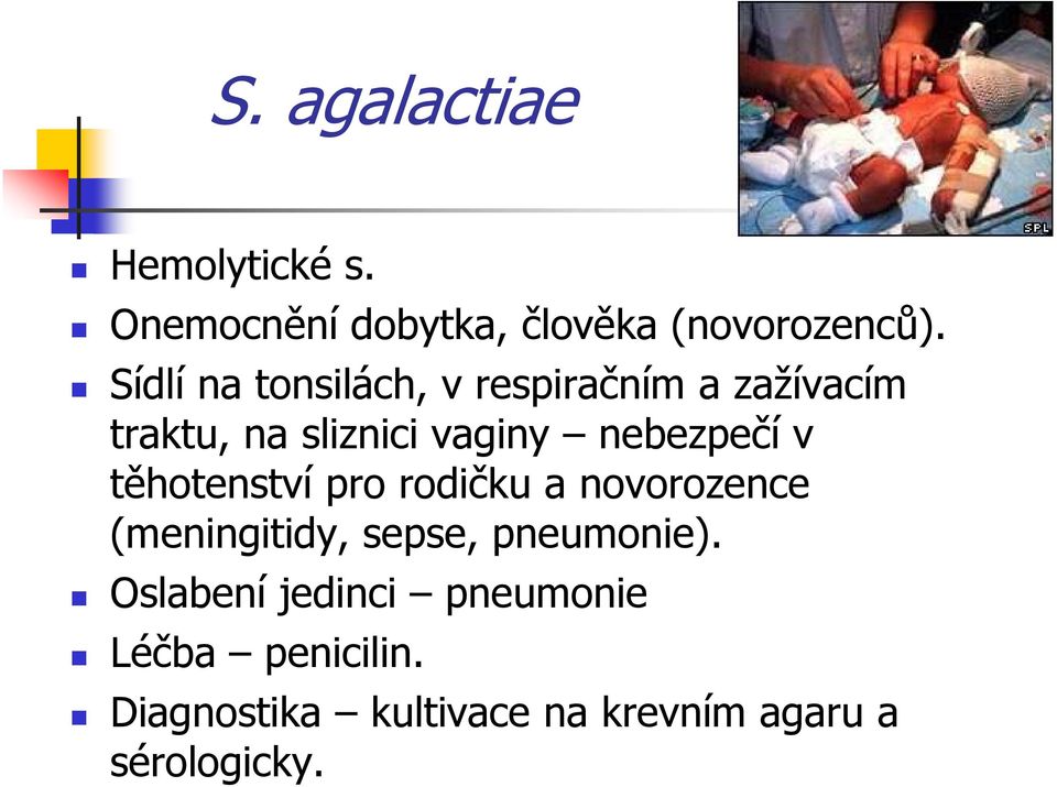 nebezpečí v těhotenství pro rodičku a novorozence (meningitidy, sepse, pneumonie).