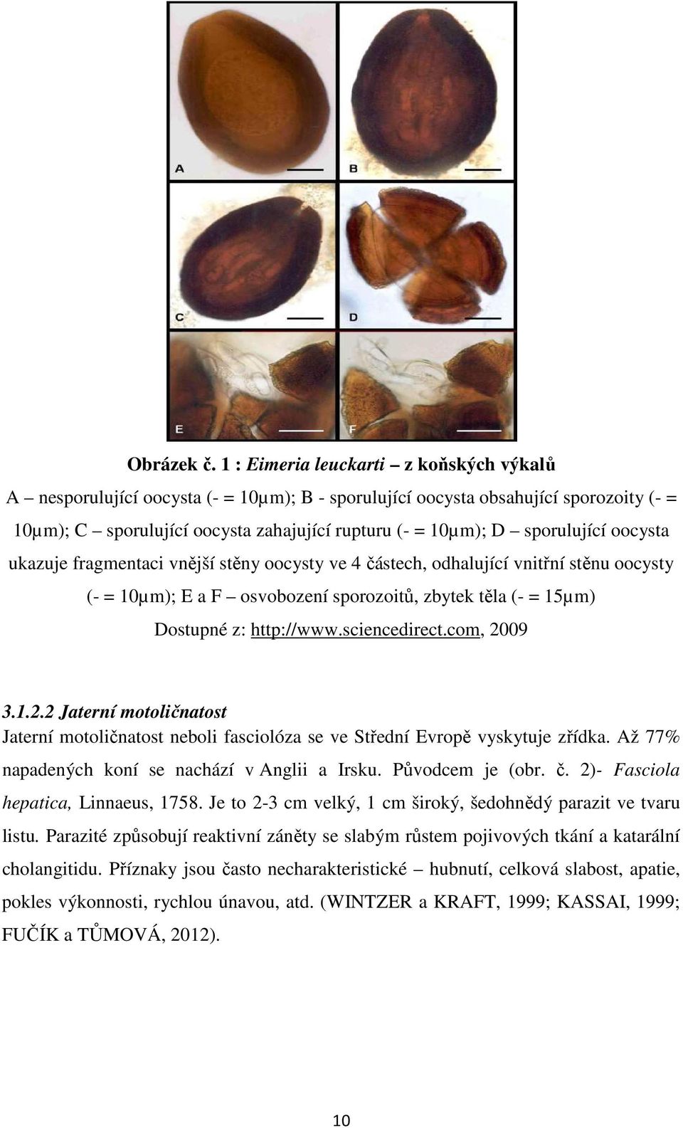 sporulující oocysta ukazuje fragmentaci vnější stěny oocysty ve 4 částech, odhalující vnitřní stěnu oocysty (- = 10µm); E a F osvobození sporozoitů, zbytek těla (- = 15µm) Dostupné z: http://www.
