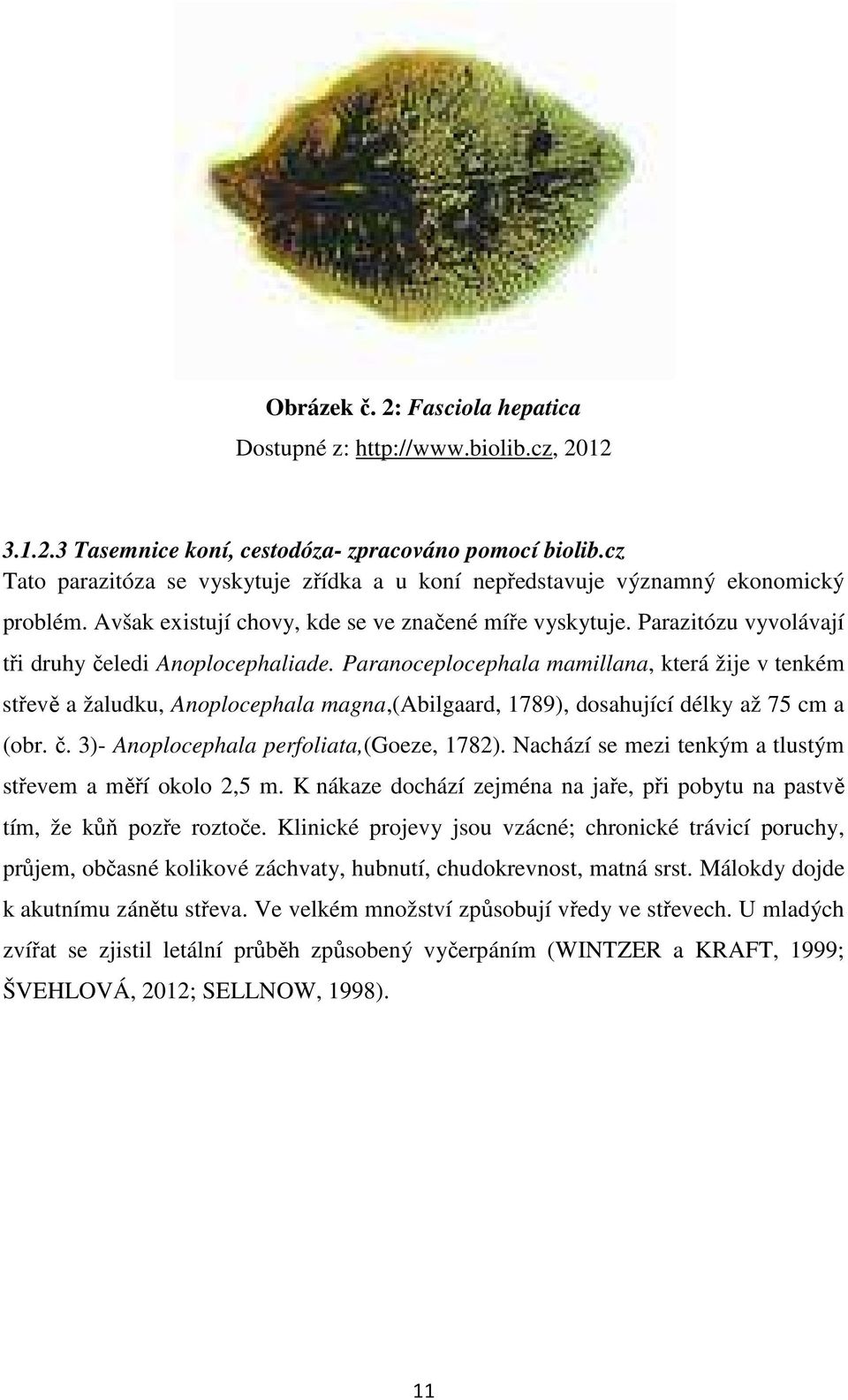 Parazitózu vyvolávají tři druhy čeledi Anoplocephaliade. Paranoceplocephala mamillana, která žije v tenkém střevě a žaludku, Anoplocephala magna,(abilgaard, 1789), dosahující délky až 75 cm a (obr. č. 3)- Anoplocephala perfoliata,(goeze, 1782).