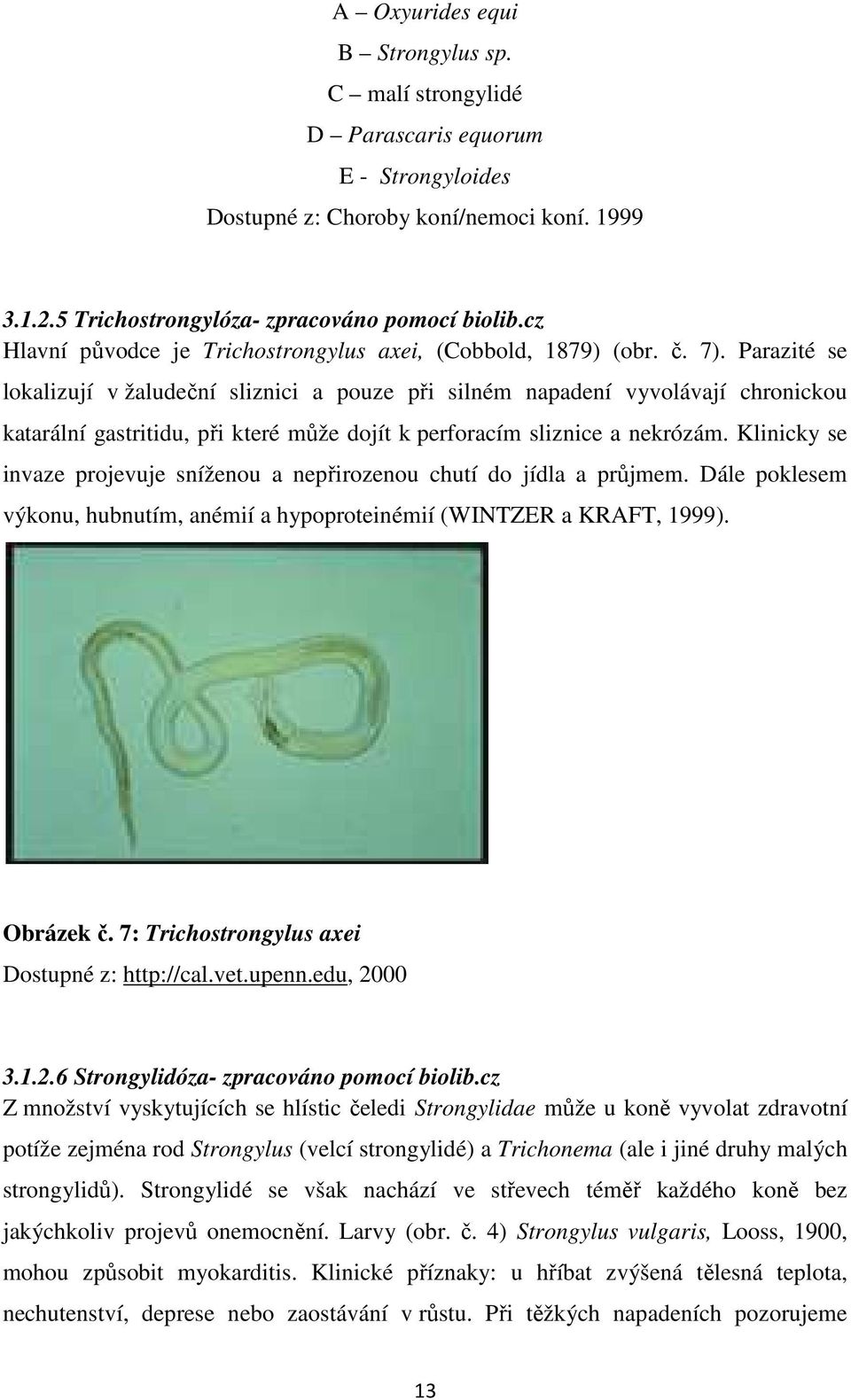 Parazité se lokalizují v žaludeční sliznici a pouze při silném napadení vyvolávají chronickou katarální gastritidu, při které může dojít k perforacím sliznice a nekrózám.