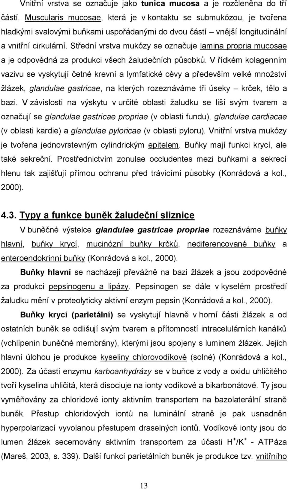 Střední vrstva mukózy se označuje lamina propria mucosae a je odpovědná za produkci všech žaludečních působků.