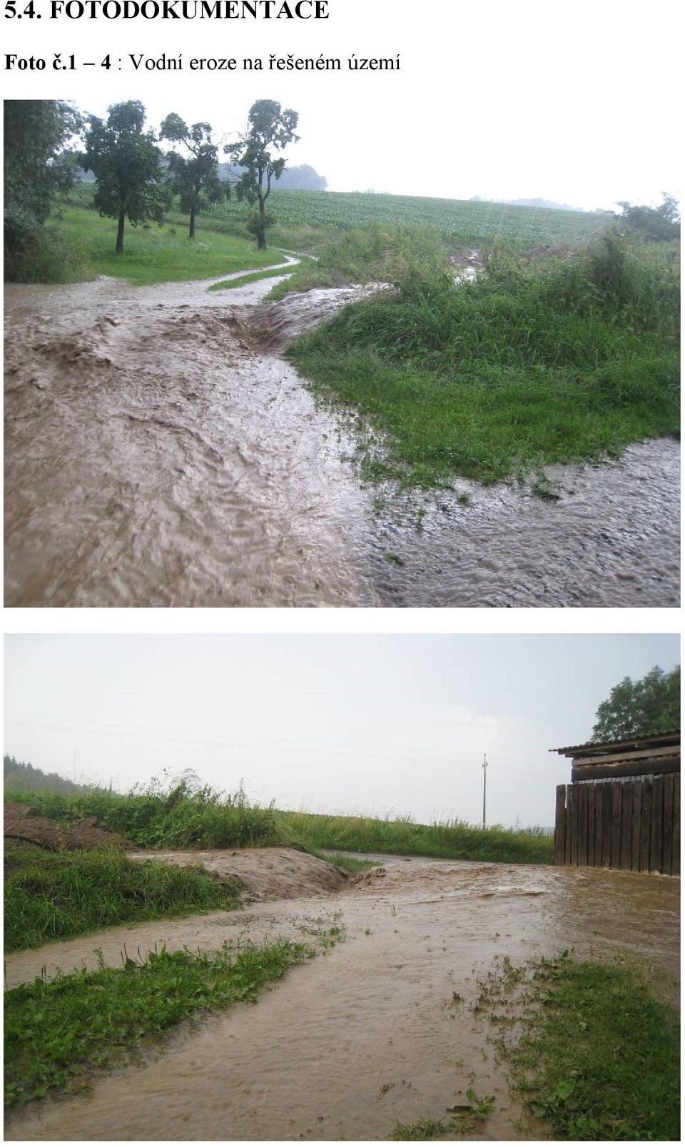 Foto č.