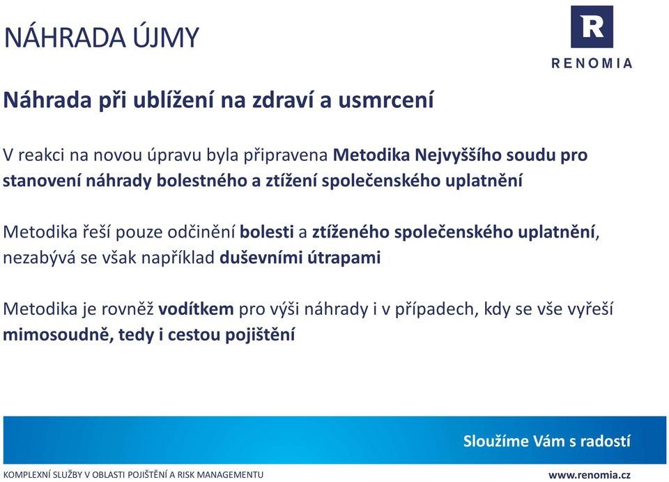 odčinění bolesti a ztíženého společenského uplatnění, nezabývá se však například duševními útrapami