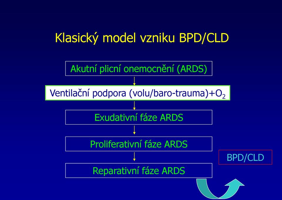 (volu/baro-trauma)+o 2 Exudativní fáze ARDS