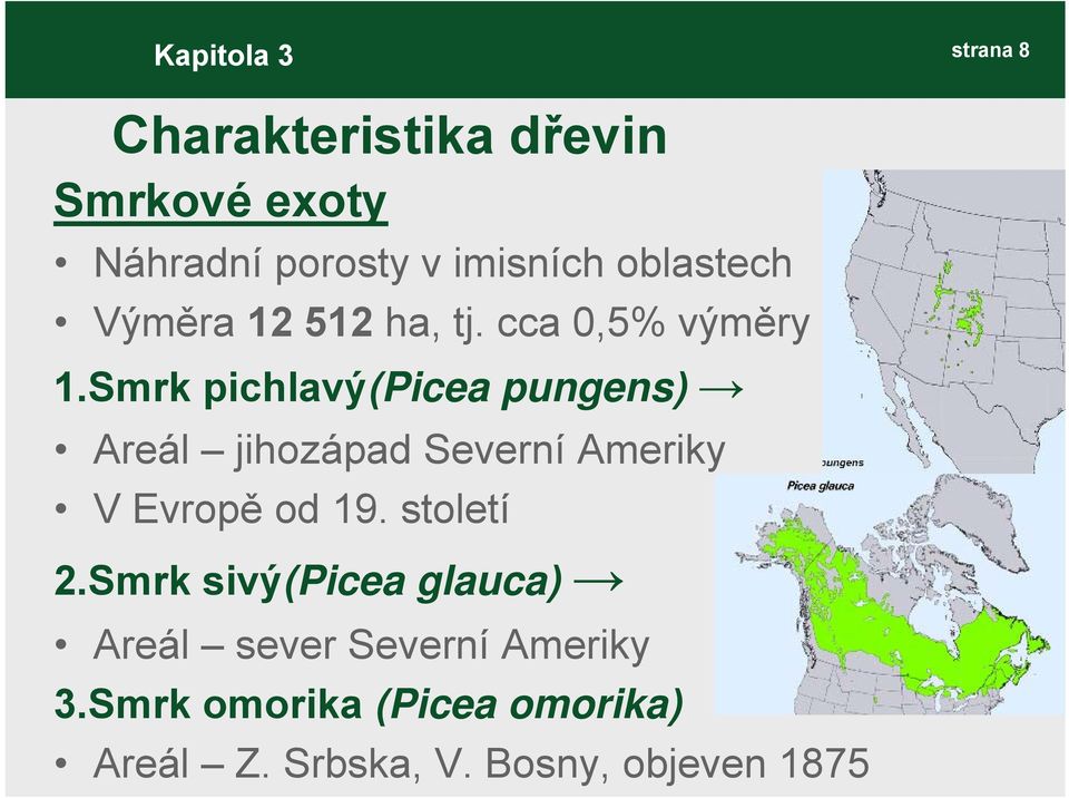 Smrk pichlavý(picea pungens) Areál jihozápad Severní Ameriky V Evropě od 19. století 2.