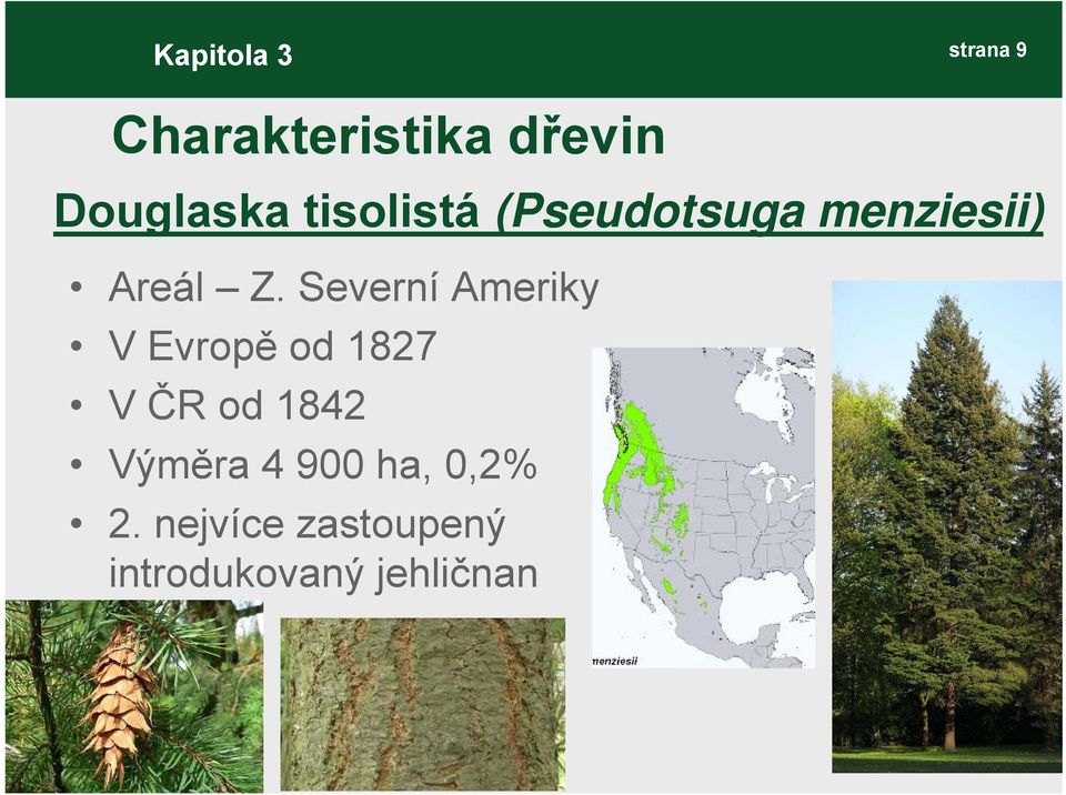 Severní Ameriky V Evropě od 1827 V ČR od 1842 Výměra