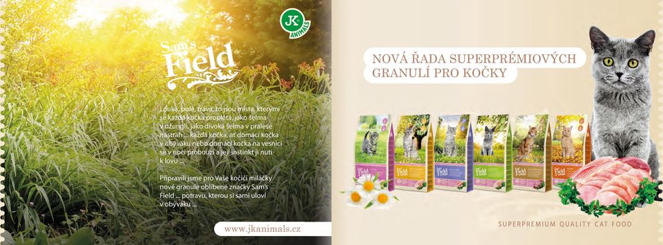.. každá kočka, ať domácí kočka v obýváku nebo domácí kočka na vesnici se v noci probouzí a její