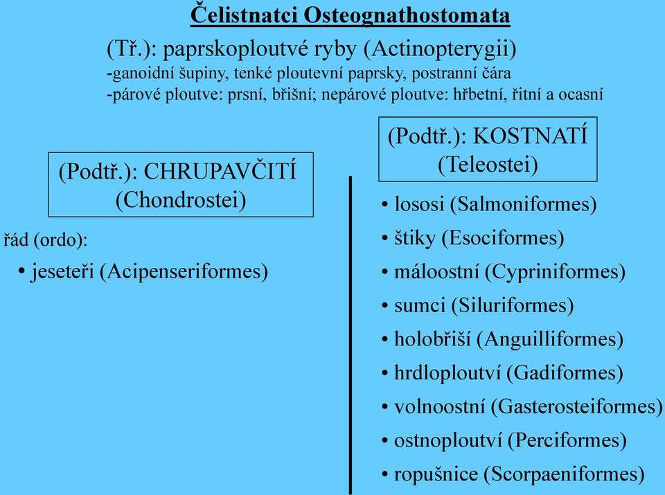 nepárové ploutve: hřbetní, řitní a ocasní (Podtř.): CHRUPAVČITÍ (Chondrostei) řád (ordo): jeseteři (Acipenseriformes) (Podtř.