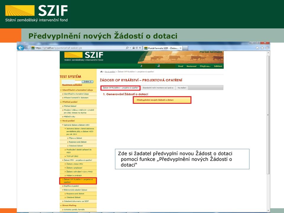 novou Žádost o dotaci pomocí