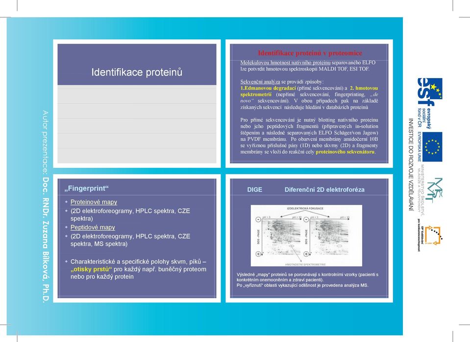buněčný proteom nebo pro každý protein Identifikace proteinů v proteomice Molekulovou hmotnost nativního proteinu separovaného ELFO lze potvrdit hmotovou spektroskopií MALDI TOF, ESI TOF.