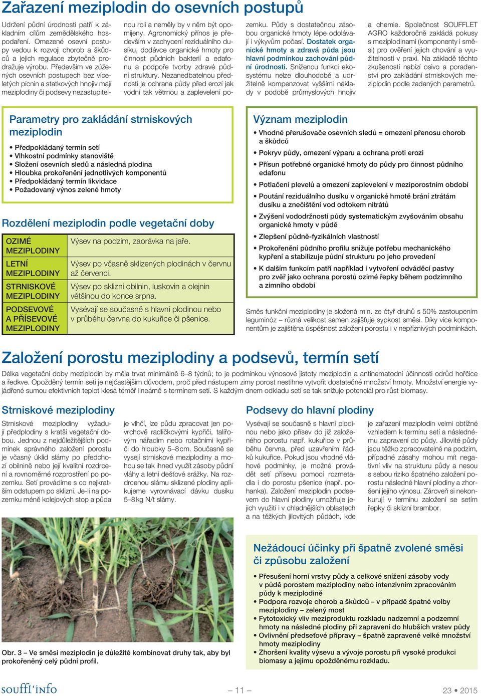 Především ve zúžených osevních postupech bez víceletých pícnin a statkových hnojiv mají meziplodiny či podsevy nezastupitelnou roli a neměly by v něm být opomíjeny.