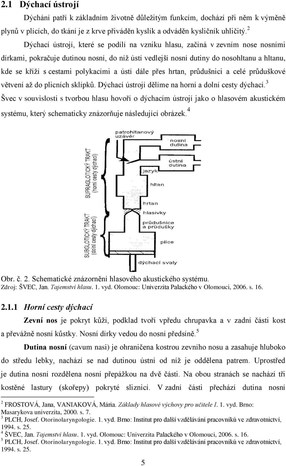 polykacími a ústí dále přes hrtan, průdušnici a celé průduškové větvení až do plicních sklípků. Dýchací ústrojí dělíme na horní a dolní cesty dýchací.