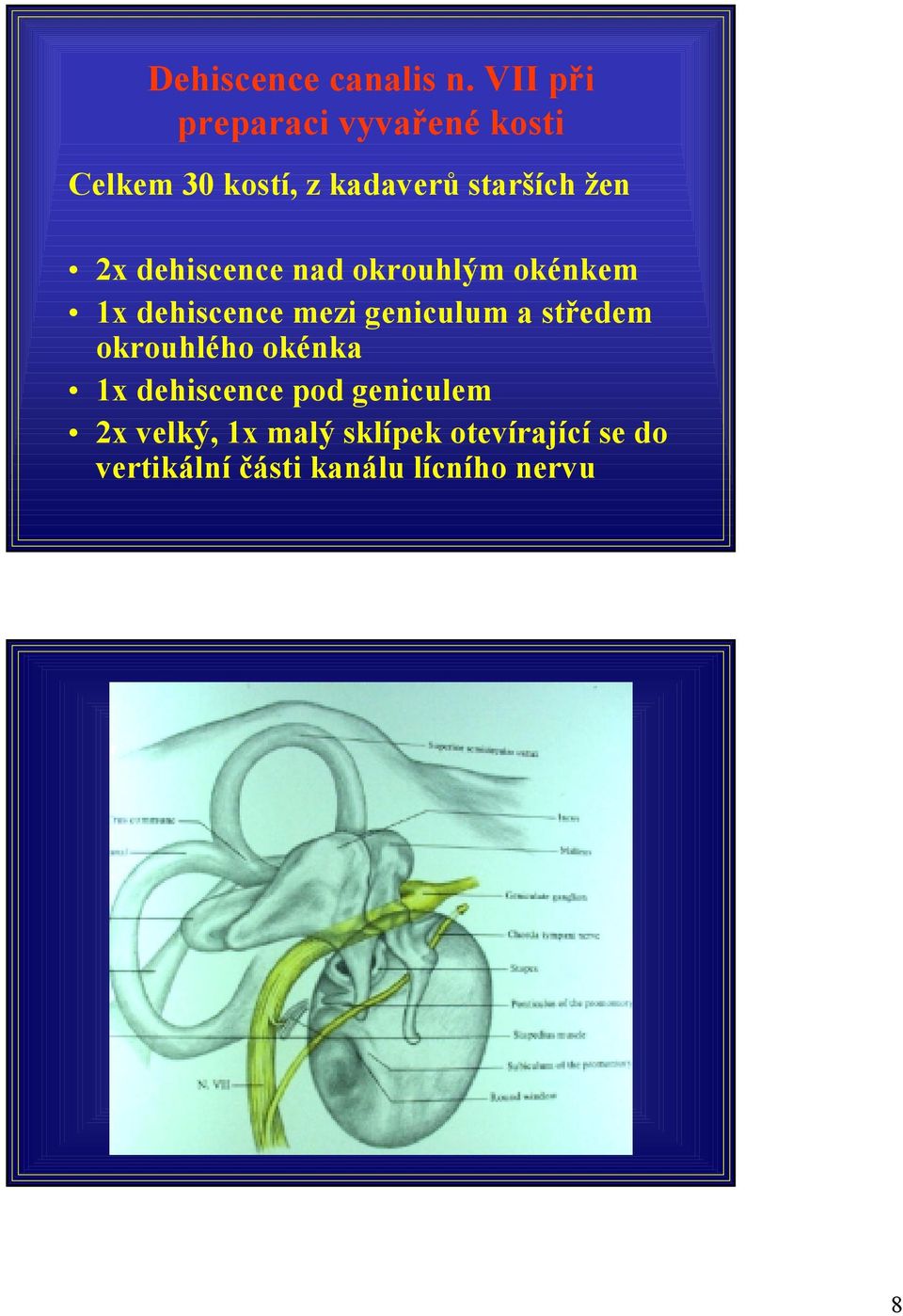 2x dehiscence nad okrouhlým okénkem 1x dehiscence mezi geniculum a středem