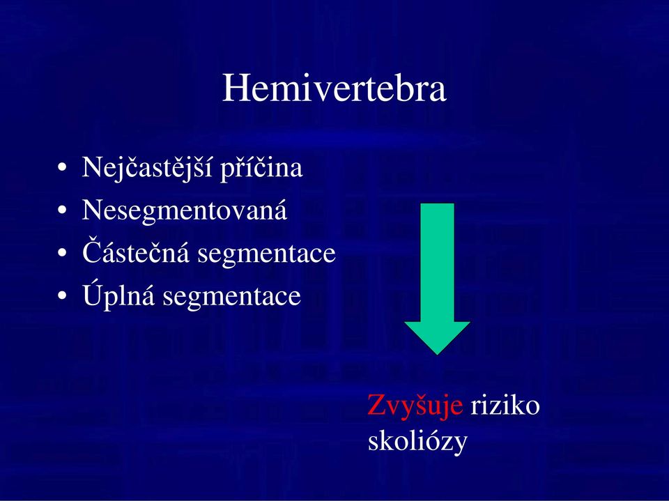 Částečná segmentace Úplná