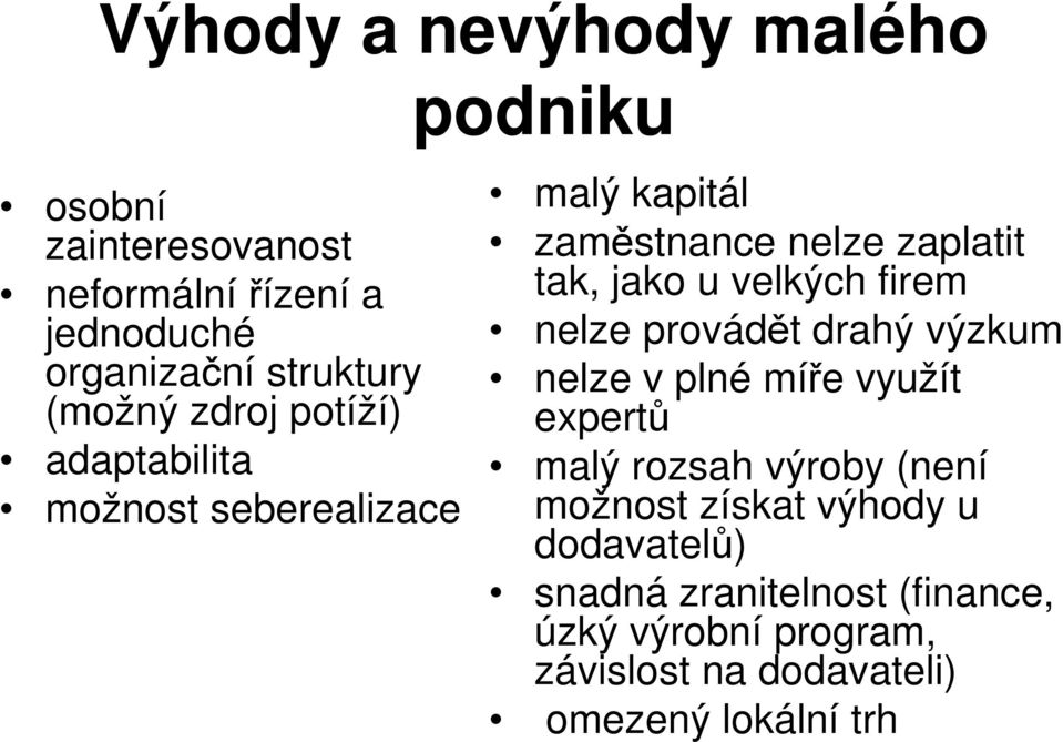 velkých firem nelze provádět drahý výzkum nelze v plné míře využít expertů malý rozsah výroby (není možnost