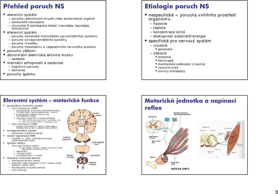 aktivita mozku epilepsie mentální schopnosti a osobnost kognitivní poruchy demence poruchy spánku Etiologie poruch NS nespecifické = porucha vnitřního prostředí organizmu hypoxie teplota koncentrace
