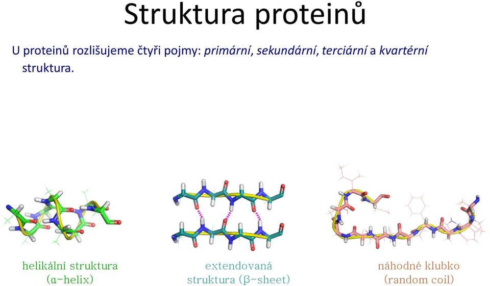 Sekundární struktura udává konformaci hlavního řetězce v určitém úseku.
