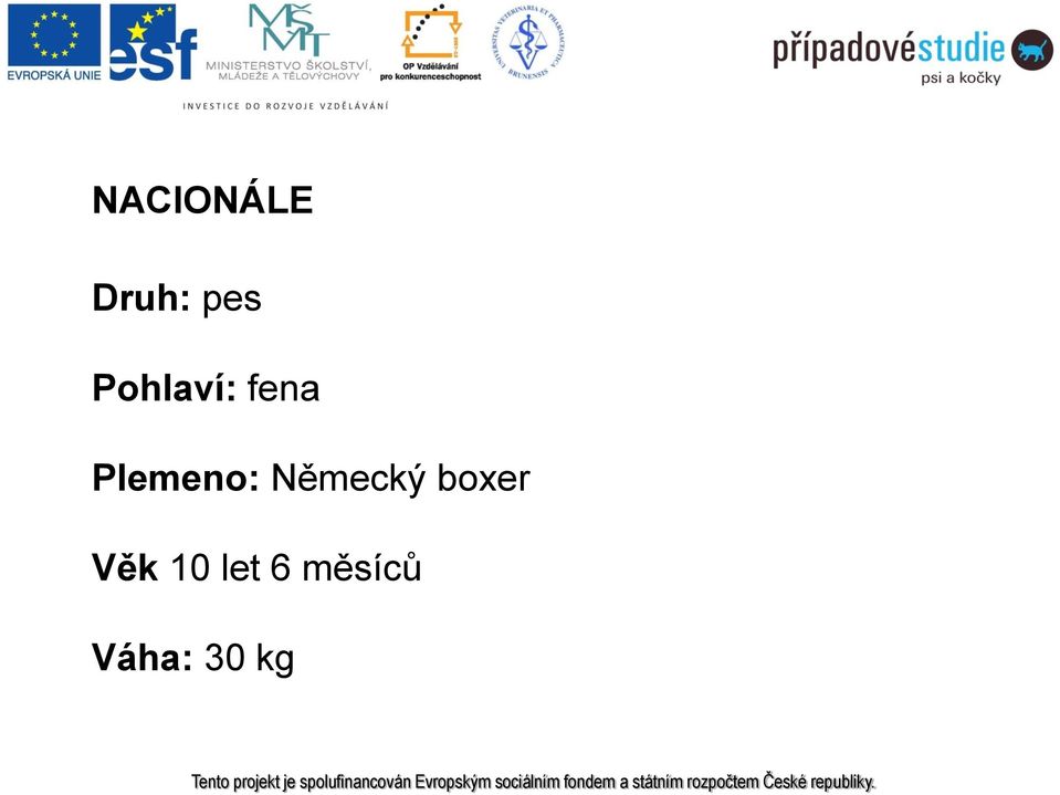Plemeno: Německý