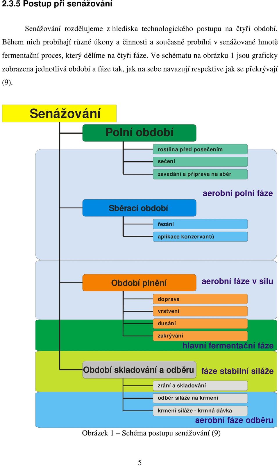Ve schématu na obrázku 1 jsou graficky zobrazena jednotlivá období a fáze tak, jak na sebe navazují respektive jak se překrývají (9).