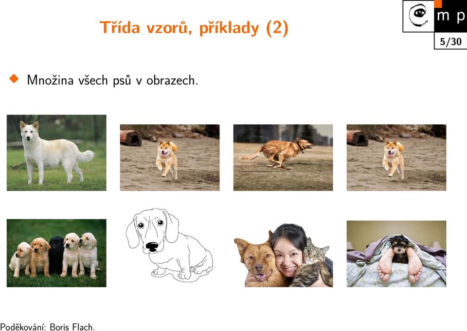 všech psů v obrazech.