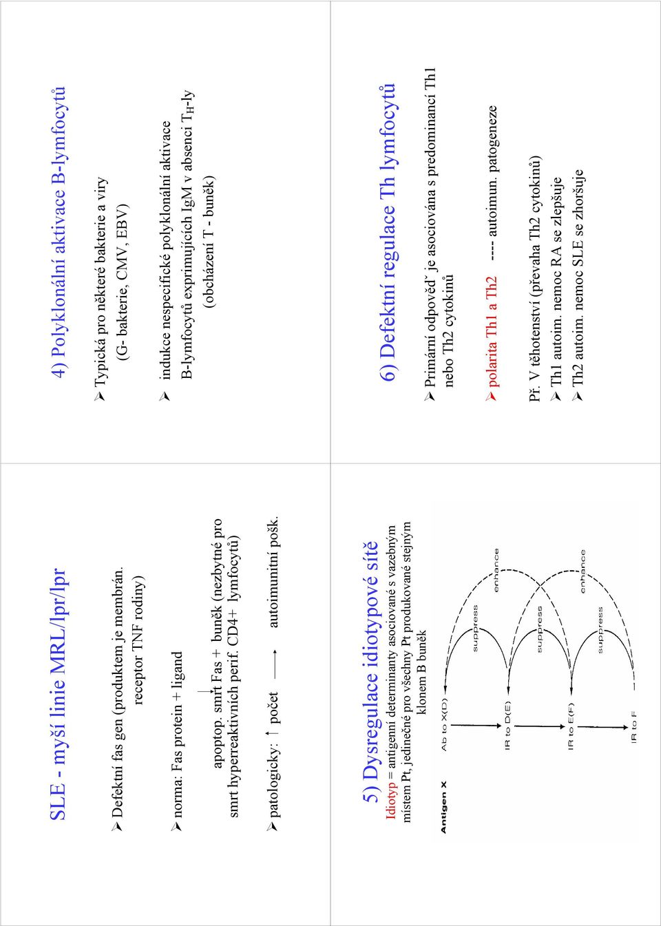 5) Dysregulace idiotypové sítě Idiotyp = antigenní determinanty asociované s vazebným místem Pt, jedinečné pro všechny Pt produkované stejným klonem B buněk 4) Polyklonální aktivace B-lymfocytů
