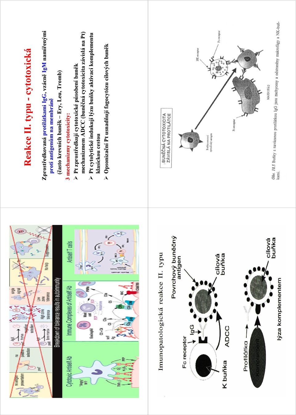 membráně (často krevních buněk Ery, Leu, Tromb) 3 mechanizmy cytotoxicity: Pt zprostředkují