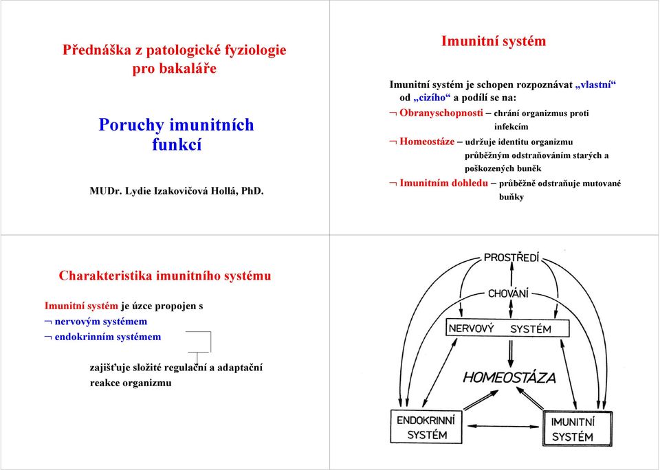 Homeostáze udržuje identitu organizmu průběžným odstraňováním starých a poškozených buněk Imunitním dohledu průběžně odstraňuje mutované
