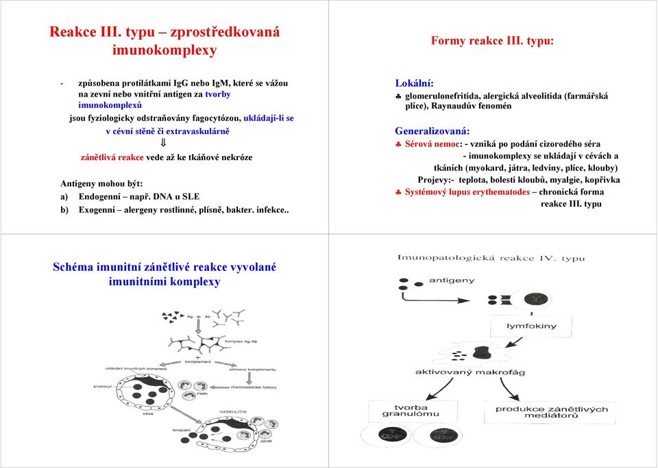 extravaskulárně zánětlivá reakce vede až ke tkáňové nekróze Antigeny mohou být: a) Endogenní např. DNA u SLE b) Exogenní alergeny rostlinné, plísně, bakter. infekce.