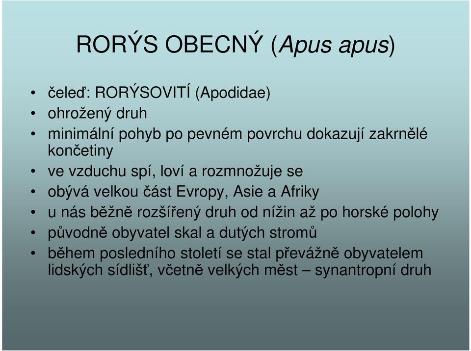 Afriky u nás běžně rozšířený druh od nížin až po horské polohy původně obyvatel skal a dutých stromů