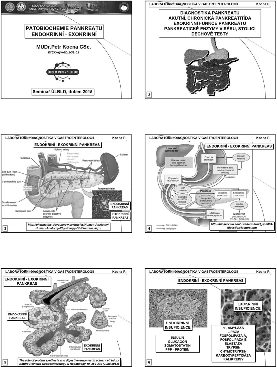 in/articles/human-anatomy/ Human-Anatomy-hysiology-Of-ancreas.aspx 4 http://bioserv.fiu.edu/~walterm/fund_sp2004/ digestion/lecture.