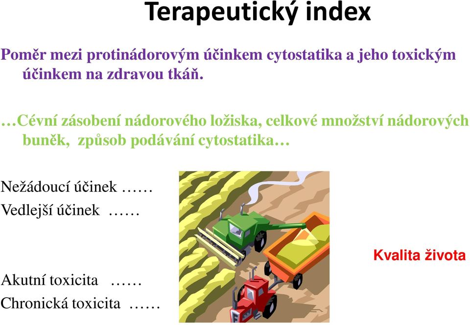 Cévní zásobení nádorového ložiska, celkové množství nádorových buněk,