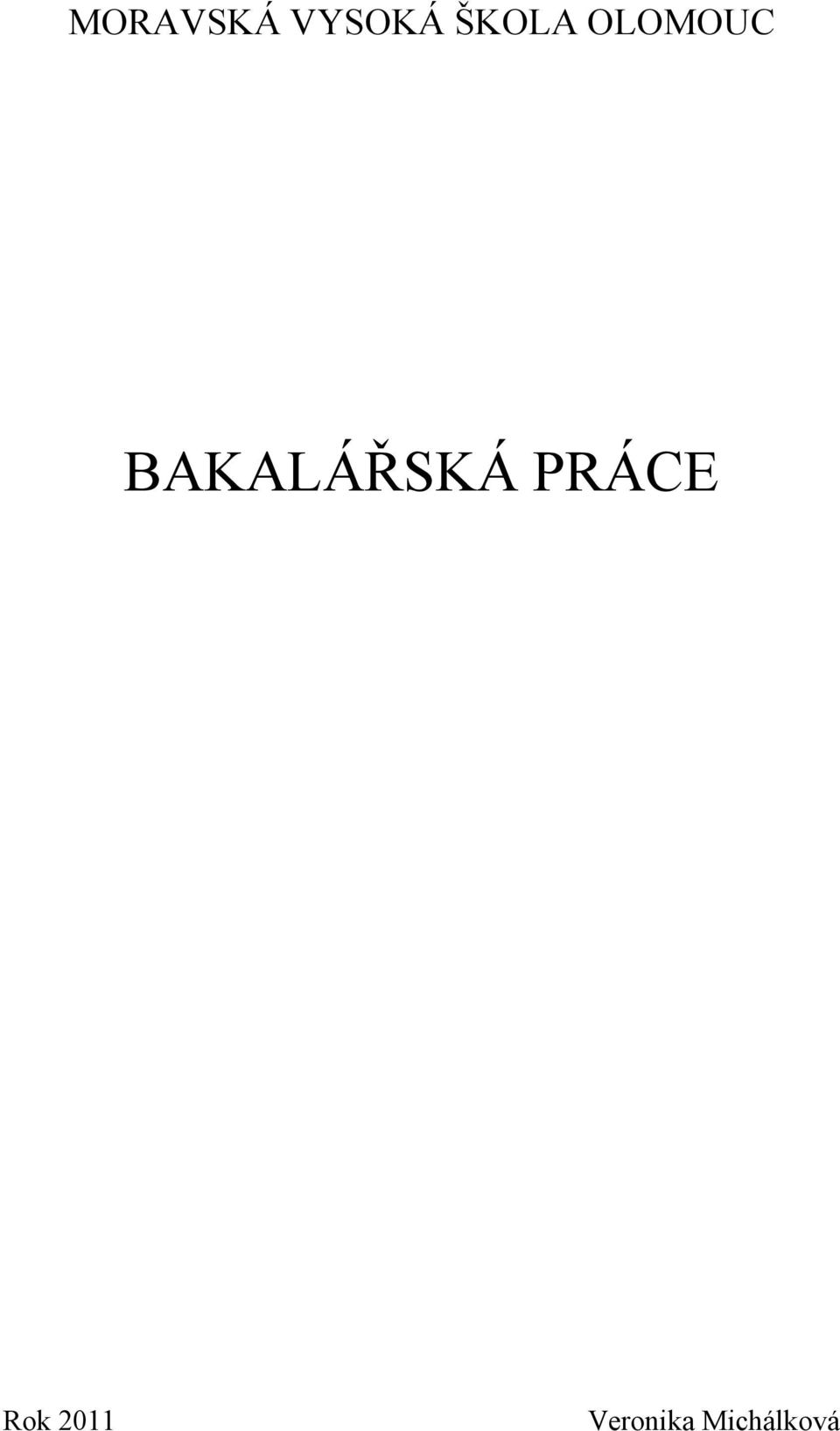 BAKALÁŘSKÁ PRÁCE