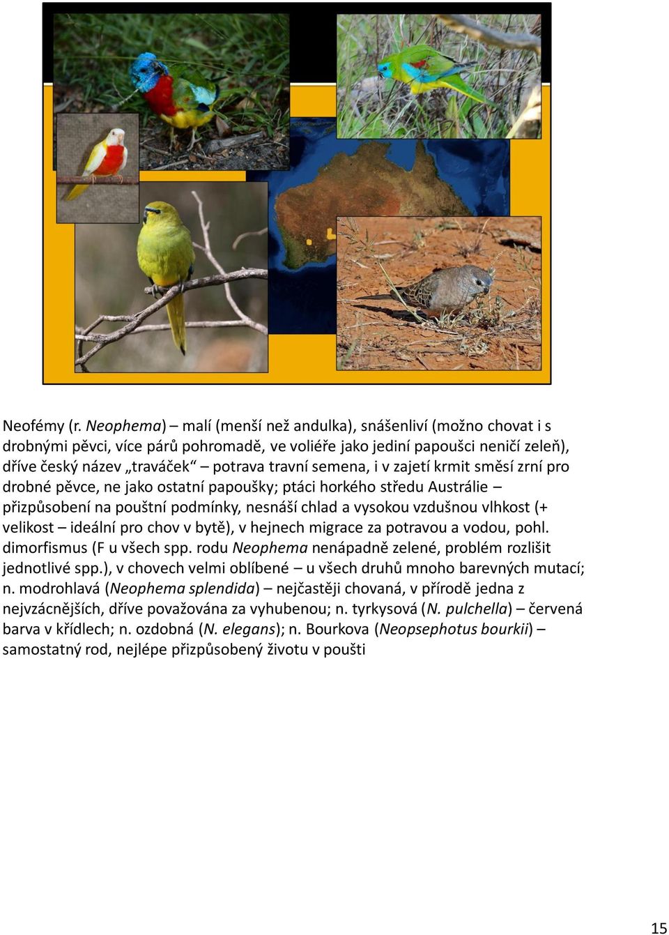 i v zajetí krmit směsí zrní pro drobné pěvce, ne jako ostatní papoušky; ptáci horkého středu Austrálie přizpůsobení na pouštní podmínky, nesnáší chlad a vysokou vzdušnou vlhkost (+ velikost ideální