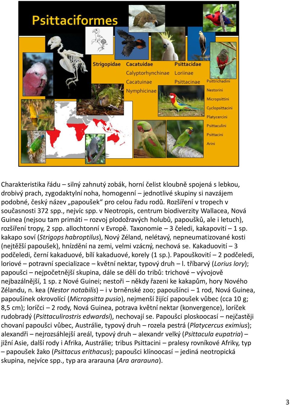 v Neotropis, centrum biodiverzity Wallacea, Nová Guinea (nejsou tam primáti rozvoj plodožravých holubů, papoušků, ale i letuch), rozšíření tropy, 2 spp. allochtonní v Evropě.